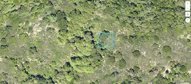 a view of a lush green field