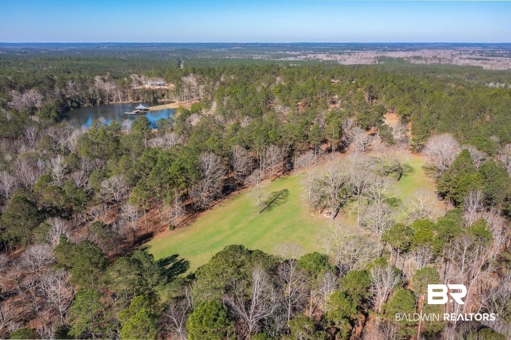 0 Private Road Millry, AL 36558 - Photo 8 of 50