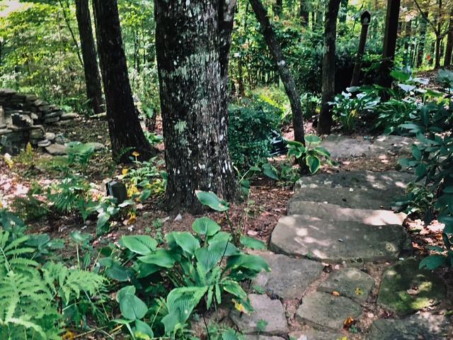 205 Minnehaha Trail Blue Ridge, GA 30513 - Photo 4 of 20 a backyard of a house with lots of green space and a lake view