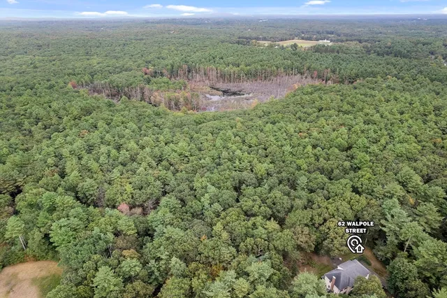 a view of a city with lush green forest