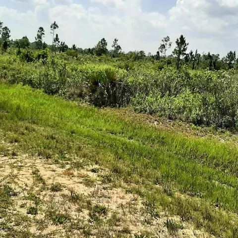 a view of a green field