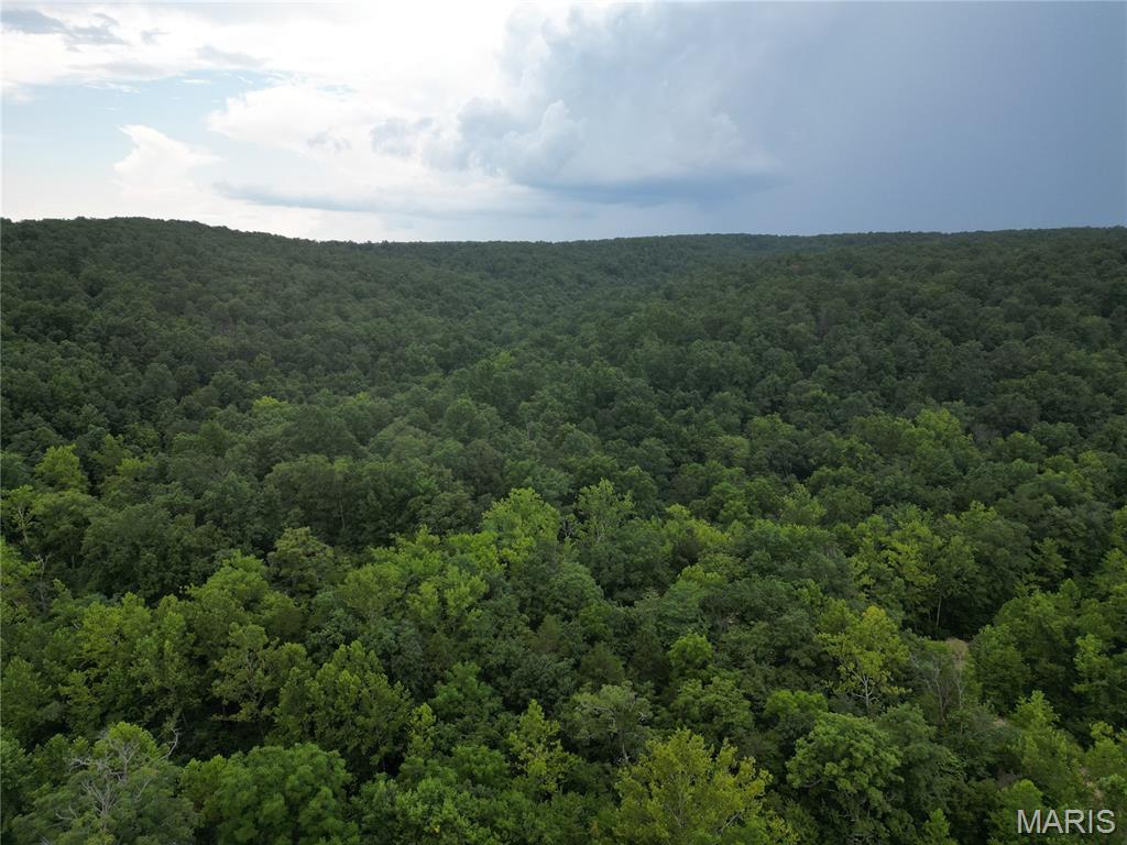 4967 County Road 118 Annapolis, MO 63620 - Photo 39 of 53