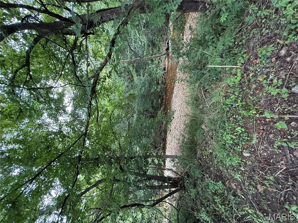 4967 County Road 118 Annapolis, MO 63620 - Photo 43 of 53