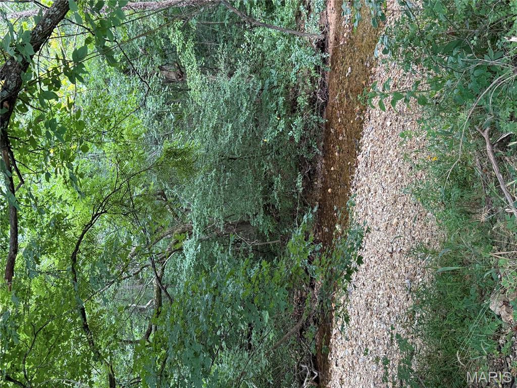 4967 County Road 118 Annapolis, MO 63620 - Photo 44 of 53