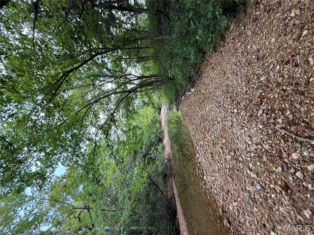 4967 County Road 118 Annapolis, MO 63620 - Photo 45 of 53