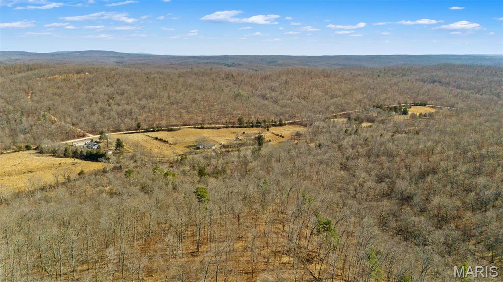 4967 County Road 118 Annapolis, MO 63620 - Photo 8 of 53