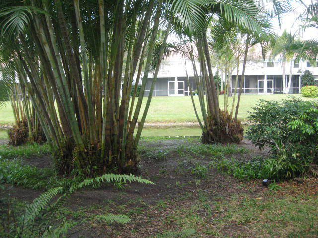 6165 Old Court Road, Unit 123 Boca Raton, FL 33433 - Photo 12 of 12 6165OldCtExFinal 006