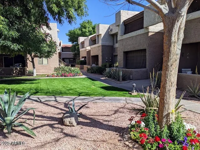 a view of a patio with table and chairs potted plants and a large tree