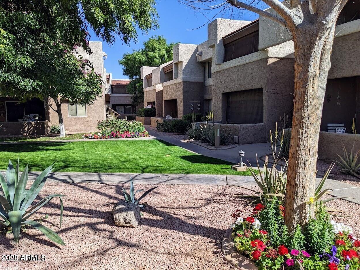 a view of a patio with table and chairs potted plants and a large tree