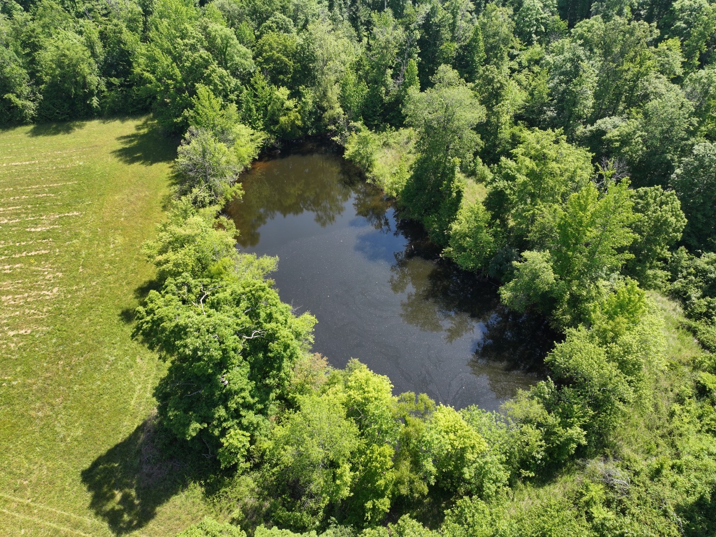 110 Wade Reed Road White Bluff, TN 37187 - Photo 9 of 80