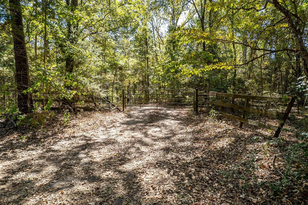 2026 County Road 3234 Quitman, TX 75783 - Photo 4 of 36 View of wooded area
