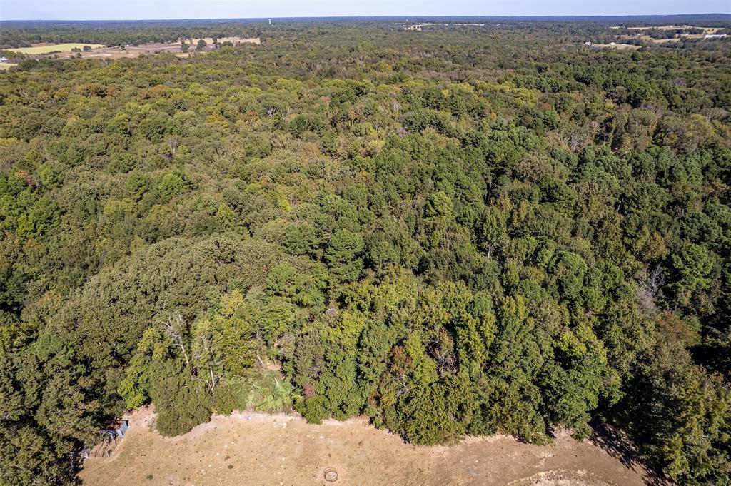 2026 County Road 3234 Quitman, TX 75783 - Photo 10 of 36 Aerial view of property's location