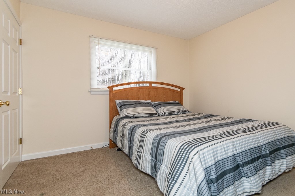 3410 Carpenter Road Ashtabula, OH 44004 - Photo 23 of 35