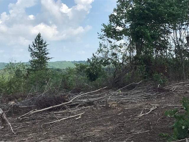 7 County Road 963 Calhoun, TN 37309 - Photo 2 of 10