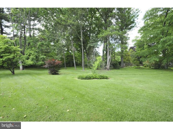 1011 Pheasant Road Rydal, PA 19046 - Photo 23 of 24 View in Back