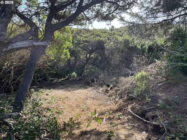 $279,000 | Shoreline Loop, Unit 28, Florence, OR 97439