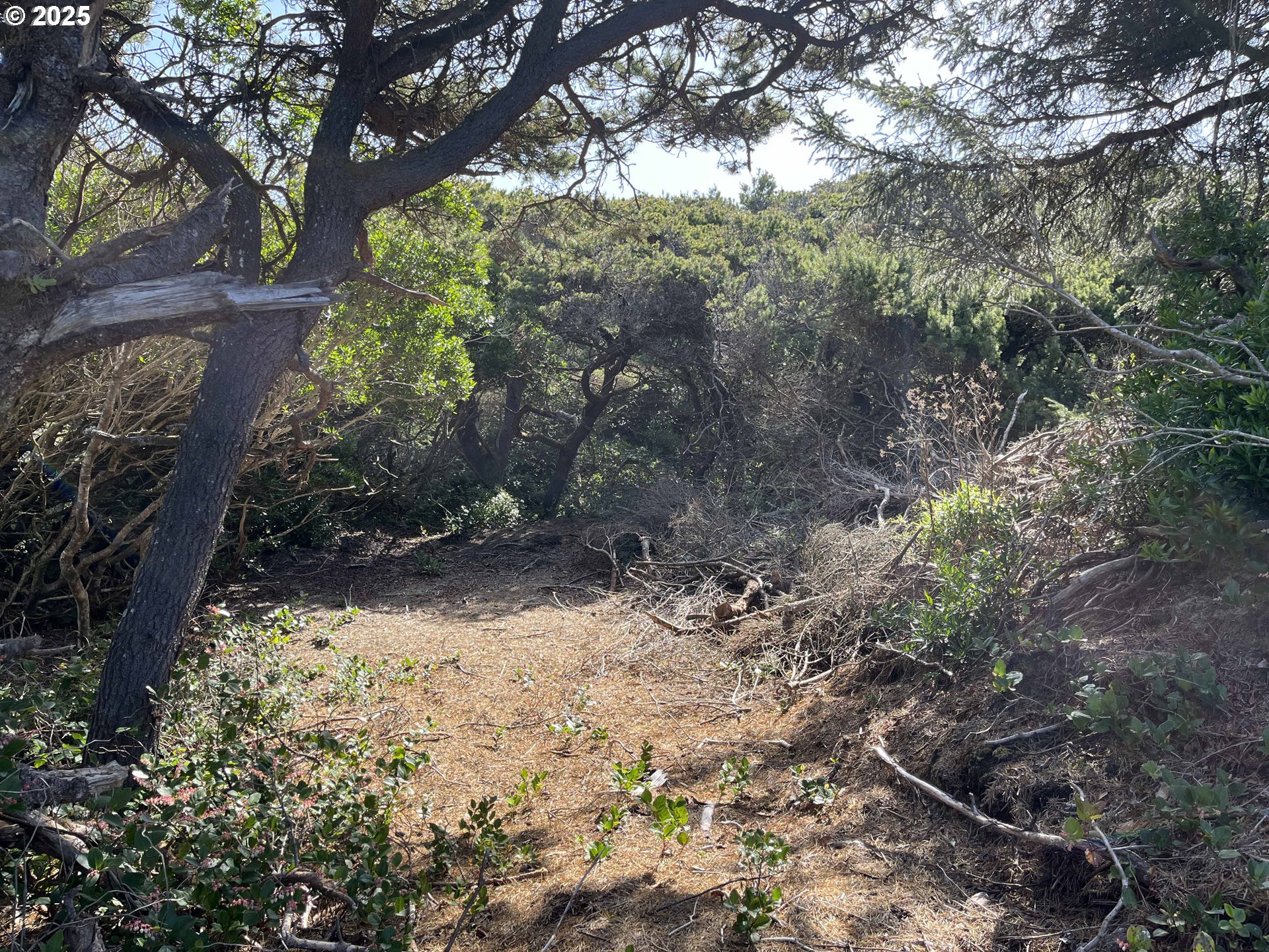 Shoreline Loop, Unit 28 Florence, OR 97439 - Photo 12 of 16