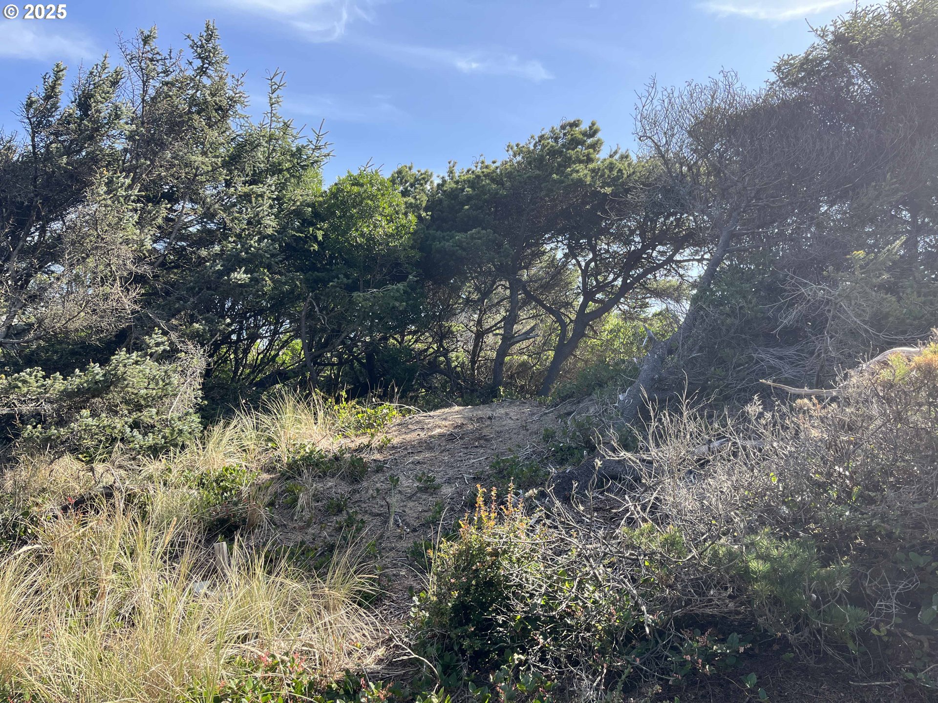 Shoreline Loop, Unit 28 Florence, OR 97439 - Photo 13 of 16