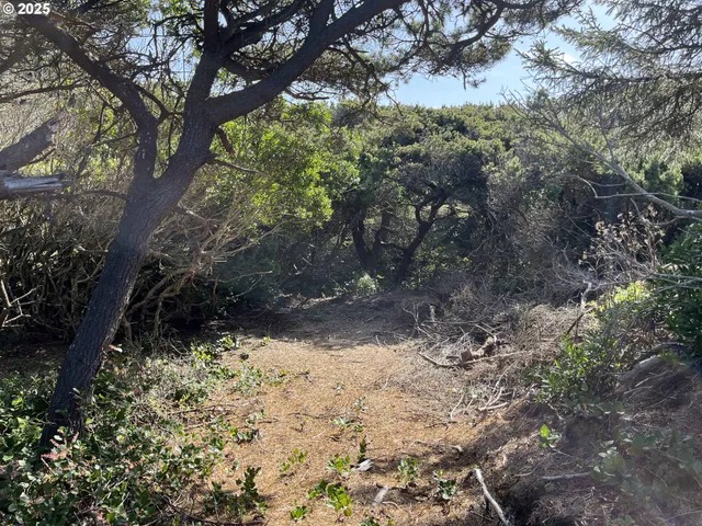 $279,000 | Shoreline Loop, Unit 28, Florence, OR 97439