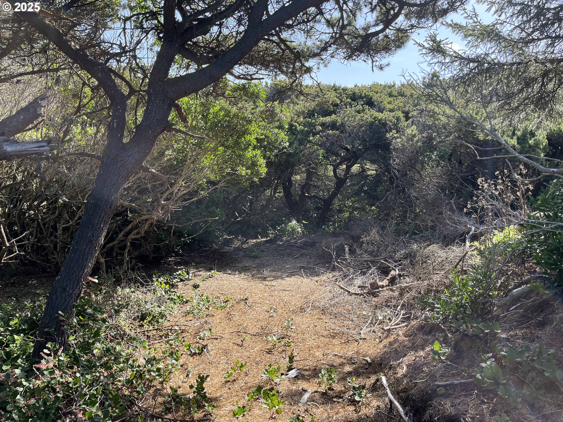 Shoreline Loop, Unit 28 Florence, OR 97439 - Photo 10 of 16