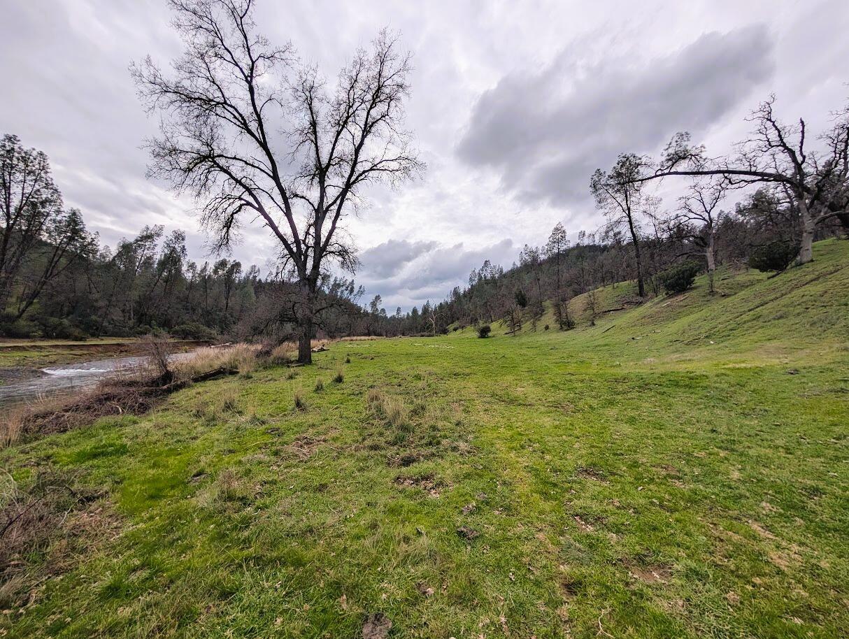 0 Red Bank Road Red Bluff, CA 96080 - Photo 13 of 15 a view of a field with large trees