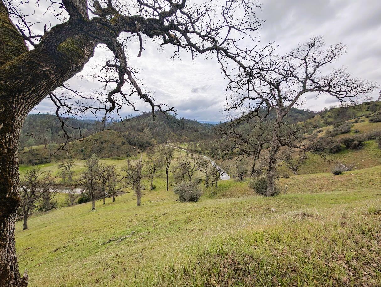 0 Red Bank Road Red Bluff, CA 96080 - Photo 14 of 15 a view of yard covered with snow