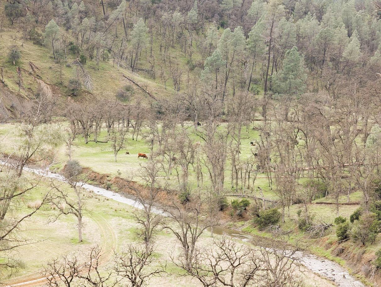 0 Red Bank Road Red Bluff, CA 96080 - Photo 15 of 15