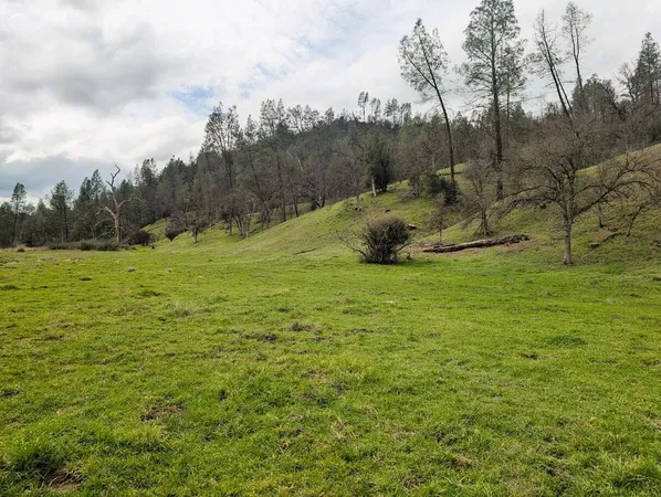 a view of a field with an trees in the background