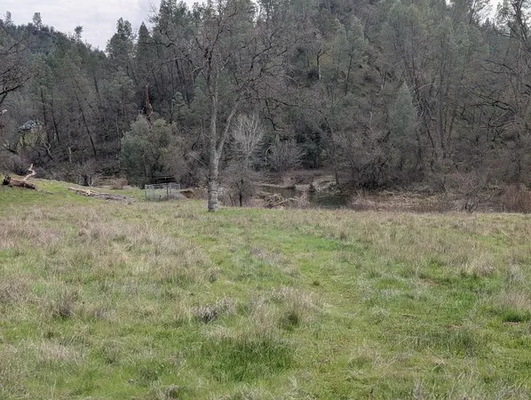a view of a field with trees in background