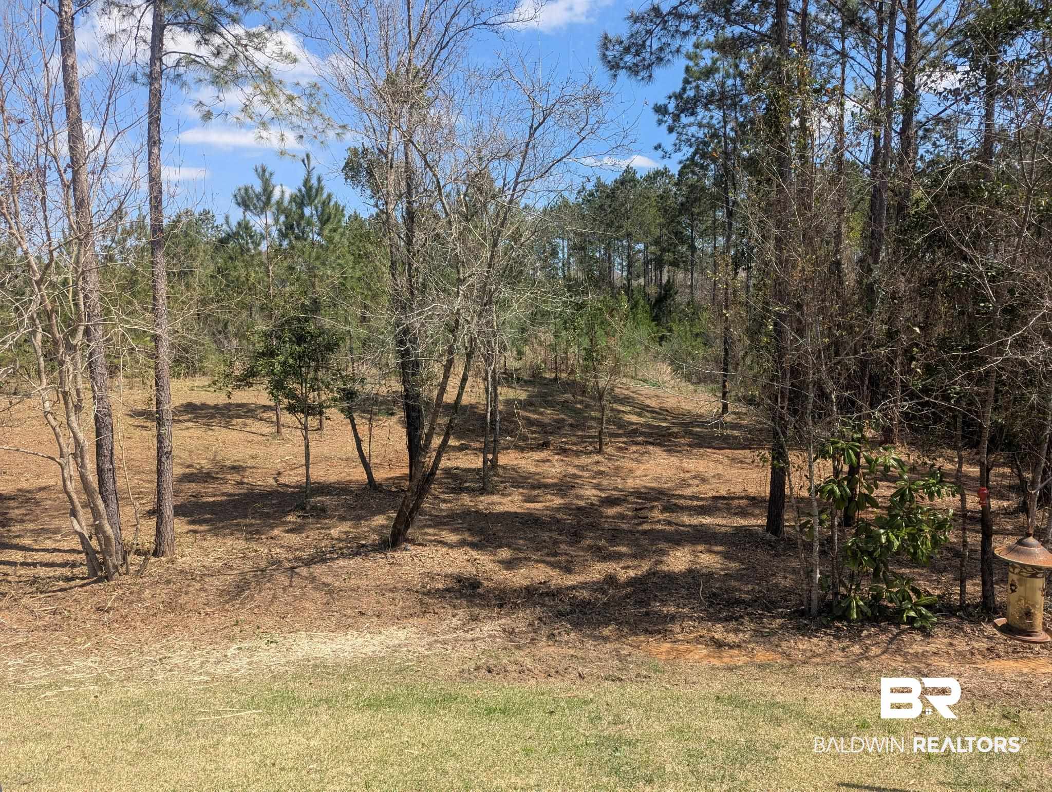 31402 Hoot Owl Road Daphne, AL 36527 - Photo 42 of 43 View of landscape