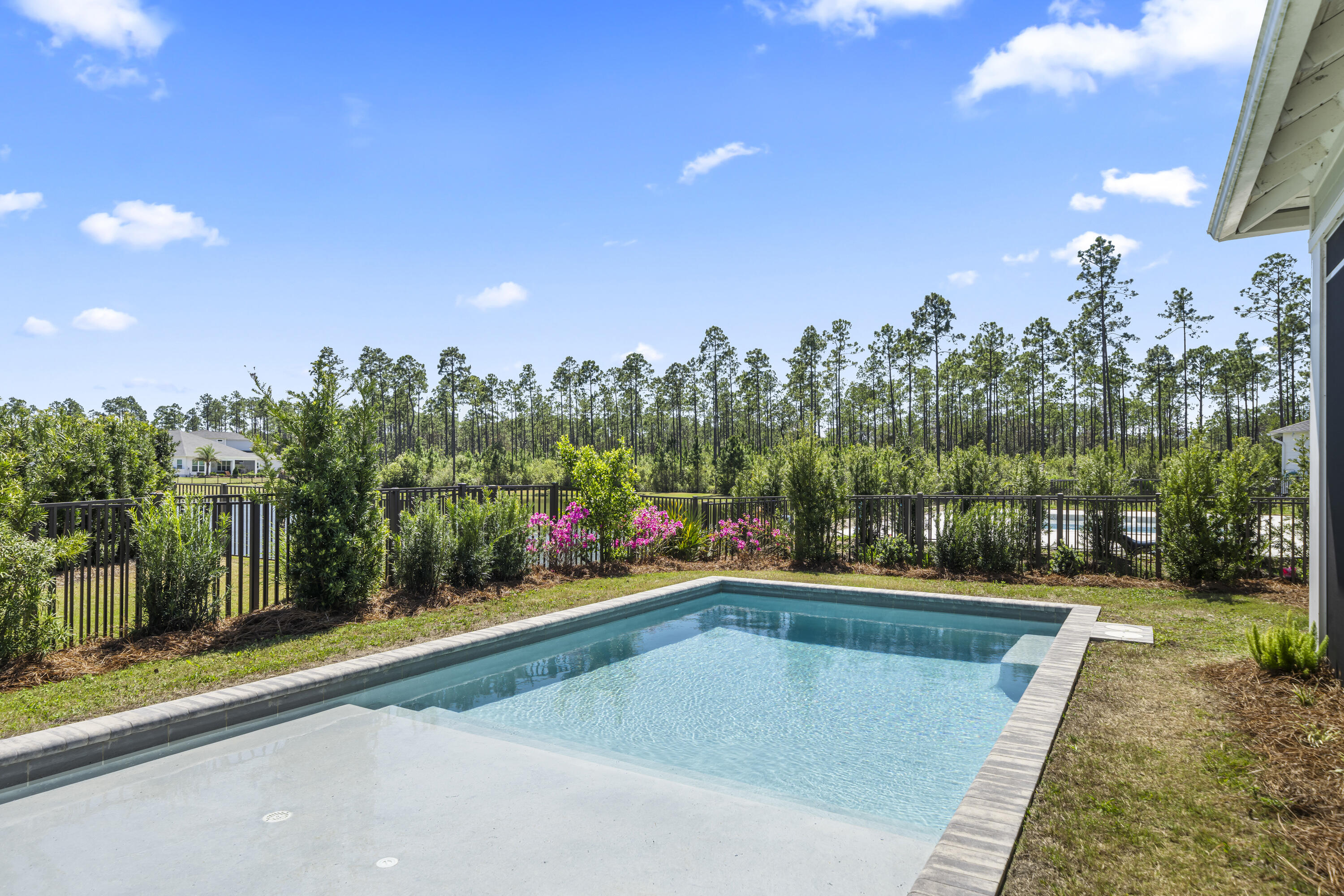 425 Lafayette Road Watersound, FL 32461 - Photo 40 of 52 a view of a swimming pool and trees in the background