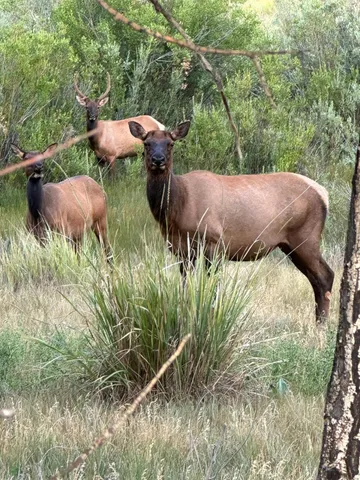 $6,950,000 | 1000 Nip And Tuck Road, Stanley, ID 83278