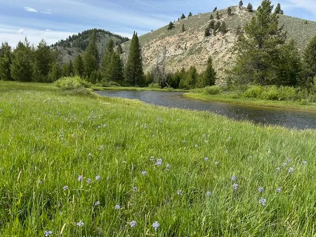 $6,950,000 | 1000 Nip And Tuck Road, Stanley, ID 83278