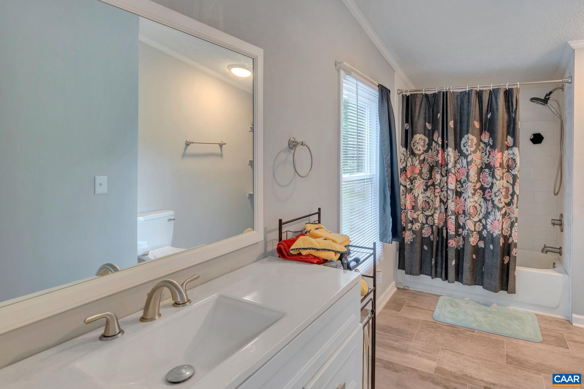 1826 Adial Road Faber, VA 22938 - Photo 12 of 39 a bathroom with a sink and a mirror