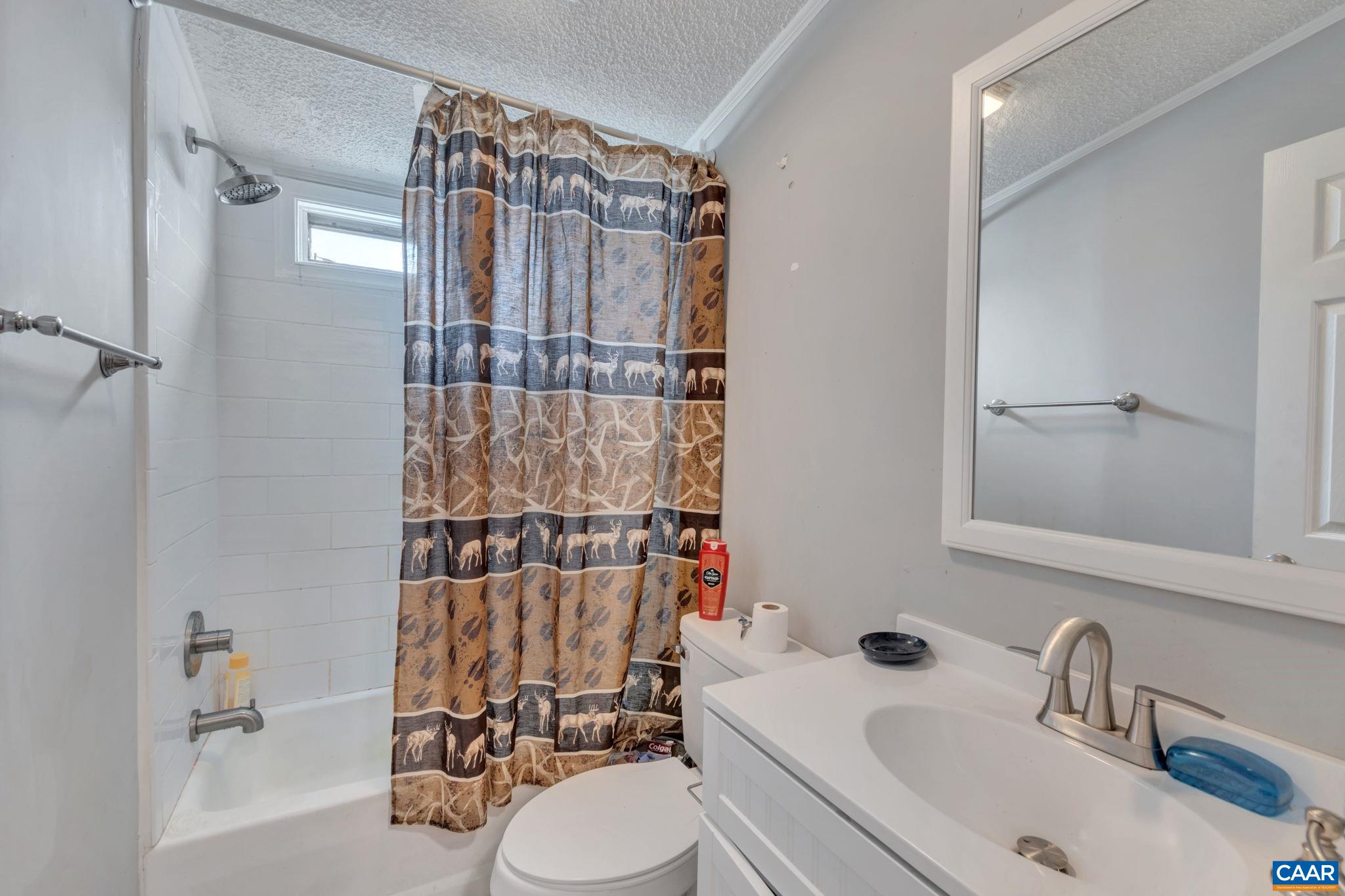 1826 Adial Road Faber, VA 22938 - Photo 26 of 39 a bathroom with a sink toilet and shower