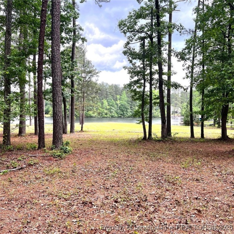 305 P852 Aberdeen, NC 28315 - Photo 3 of 9 a view of a yard with trees
