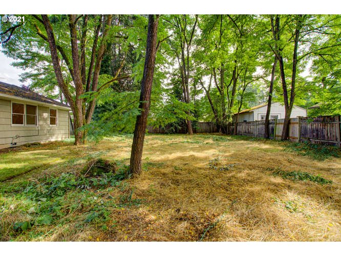 5020 Jean Road Lake Oswego, OR 97035 - Photo 22 of 23 a view of a backyard with large trees