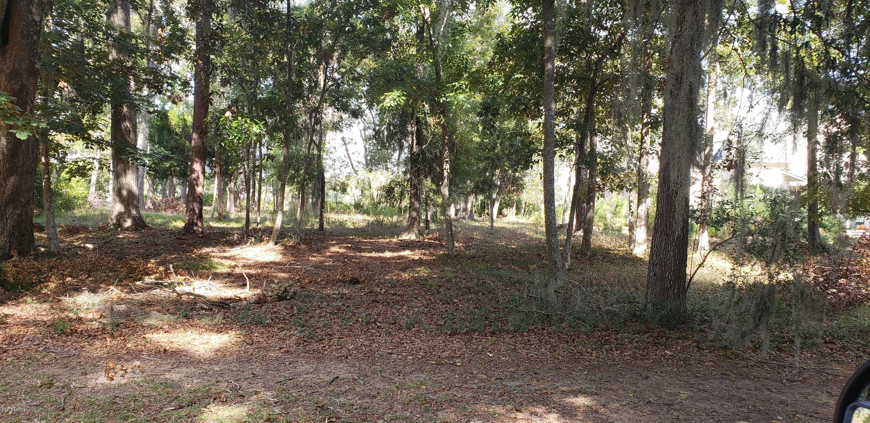 31 Ridge Road Beaufort, SC 29907 - Photo 1 of 16 20191104_111409