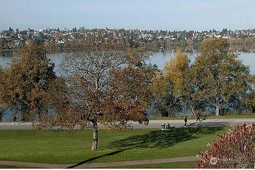 7103 Linden Avenue North, Unit 15 Seattle, WA 98103 - Photo 32 of 40 a view of a lake with a yard