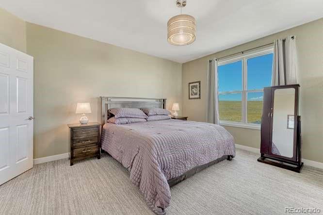 7482 Patrick Trail Elizabeth, CO 80107 - Photo 20 of 50