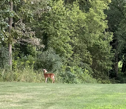 $725,000 | 63627 170th Avenue, Kellogg, MN 55945