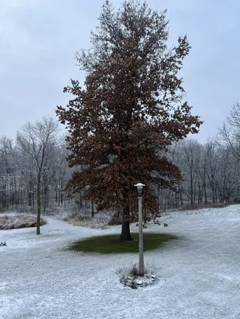 $725,000 | 63627 170th Avenue, Kellogg, MN 55945