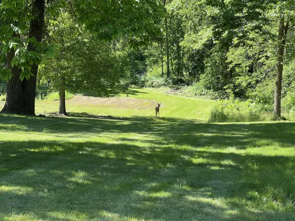 $725,000 | 63627 170th Avenue, Kellogg, MN 55945