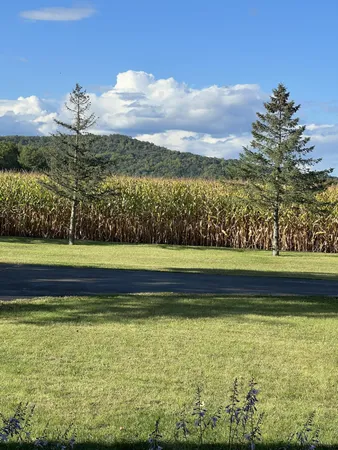 $725,000 | 63627 170th Avenue, Kellogg, MN 55945