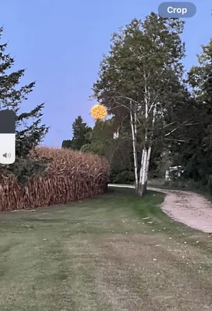 $725,000 | 63627 170th Avenue, Kellogg, MN 55945