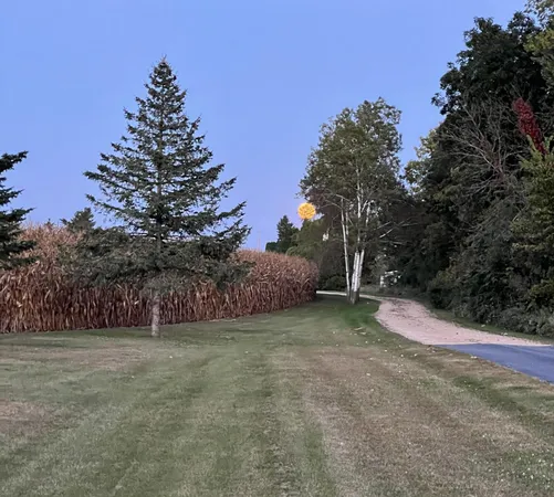 $725,000 | 63627 170th Avenue, Kellogg, MN 55945