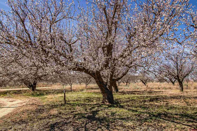 a view of a storage in a room