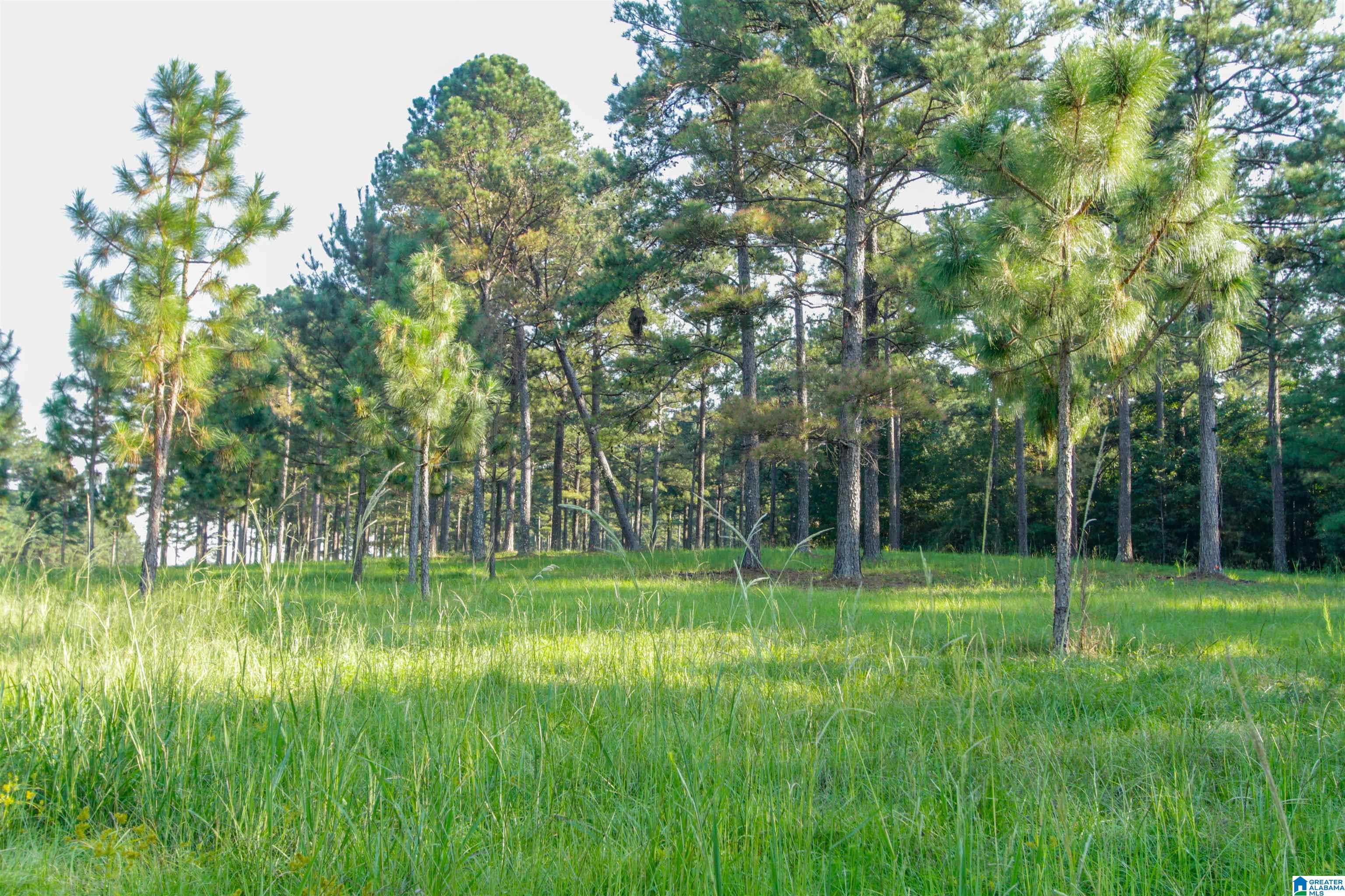 0 County Road 48, Unit 1 Jemison, AL 35085 - Photo 5 of 24