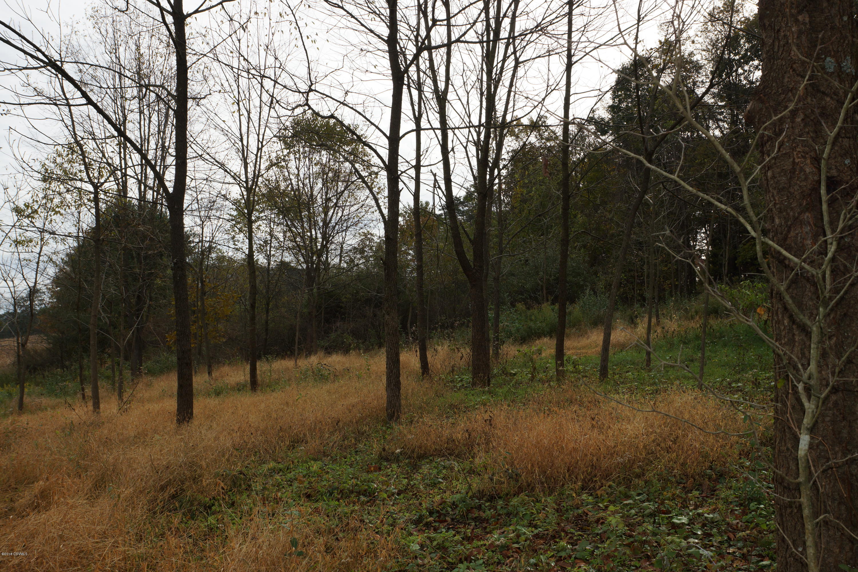 Lot 4 Milroy Road New Columbia, PA 17856 - Photo 21 of 27