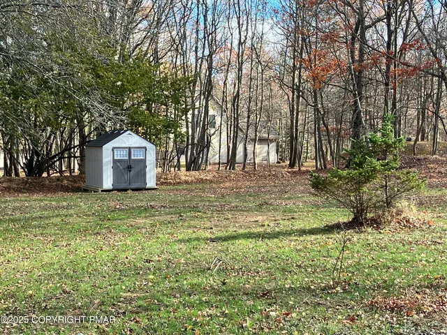 a view of a backyard with large trees